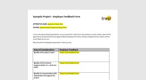 Synoptic Project - Employer Feedback Form